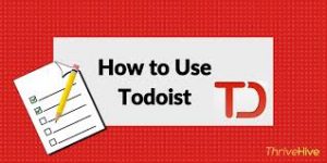 予定は手帳とグーグルカレンダー、タスクはtodoist
