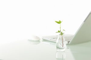 もっと投資家脳について学びたいなら。