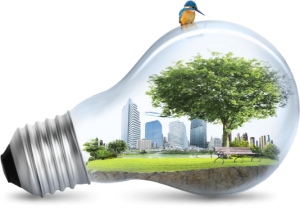 Amazonは世界中にあるけど、売ってる物は違う。