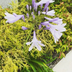 相手に”会社”として取り組んでいますよ！とニュアンスを伝えたい。