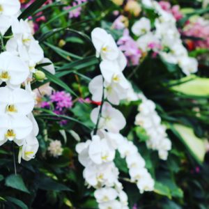 楽天ポイントやヤフーポイントの使い方