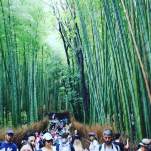 旅の終わりと新たなる挑戦