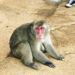 9月始まりました！！