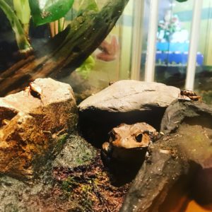 明けない夜はない！