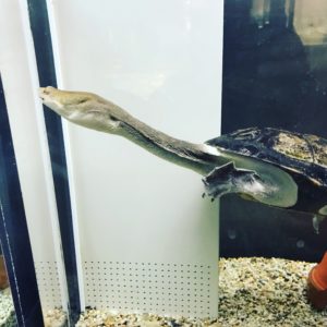 寝る前と起床直後のアファーメーション