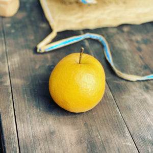 今後の方向性について考える