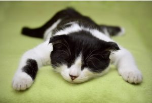 ebayを一旦ストップさせます！