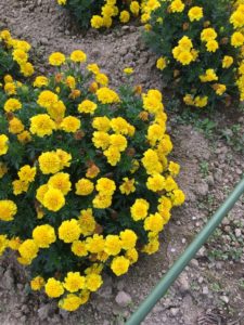 最優先タスクが２つ！！