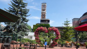 取捨選択　やる事その1