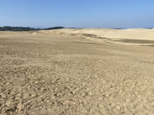 海外販売事業部としての立ち位置