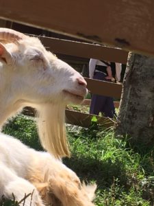 風船を膨らますように。