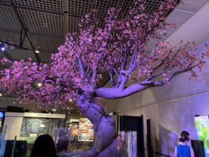 取捨選択　その1