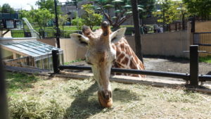 落ち込んでどうしようもない時